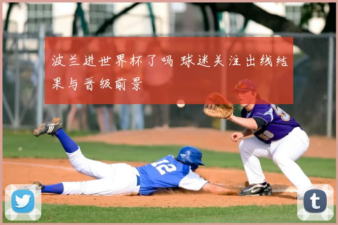 波兰进世界杯了吗 球迷关注出线结果与晋级前景