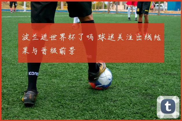 波兰进世界杯了吗 球迷关注出线结果与晋级前景